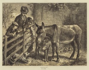 Casuals - Ebenezer Newman Downard